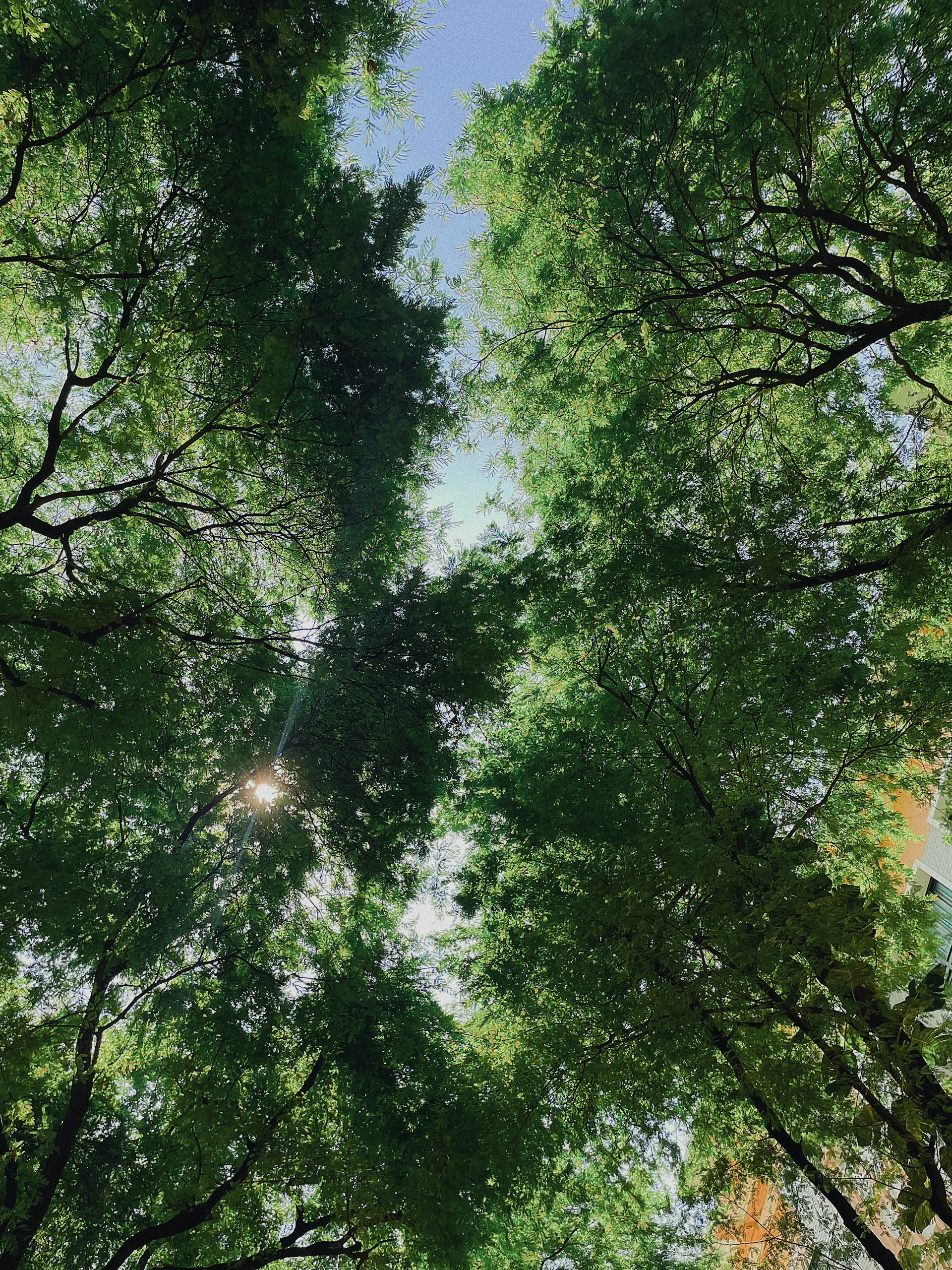 nature