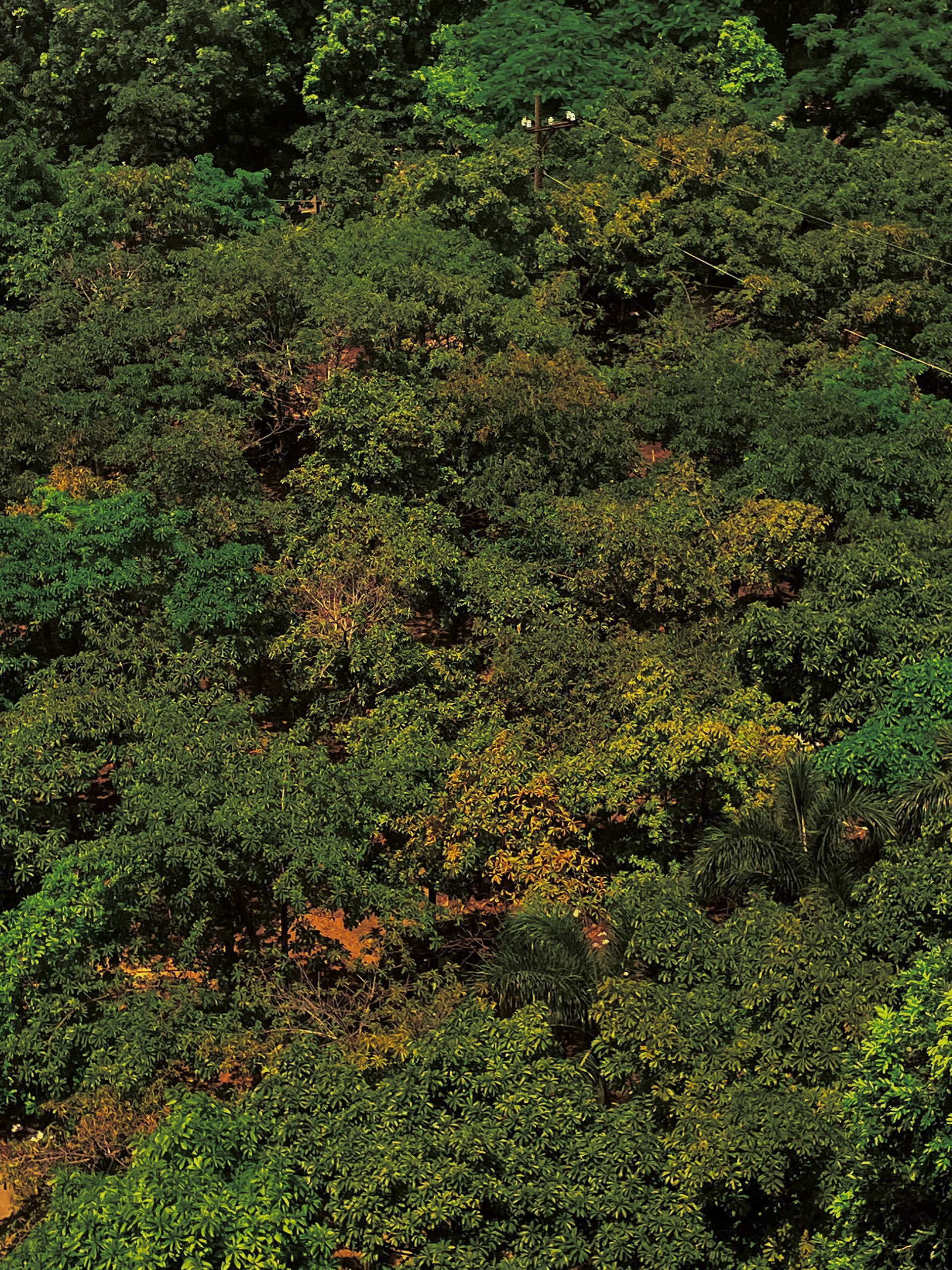 nature